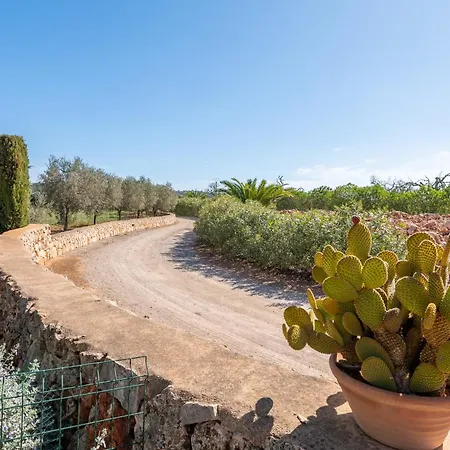 Ses Oliveres Villa
